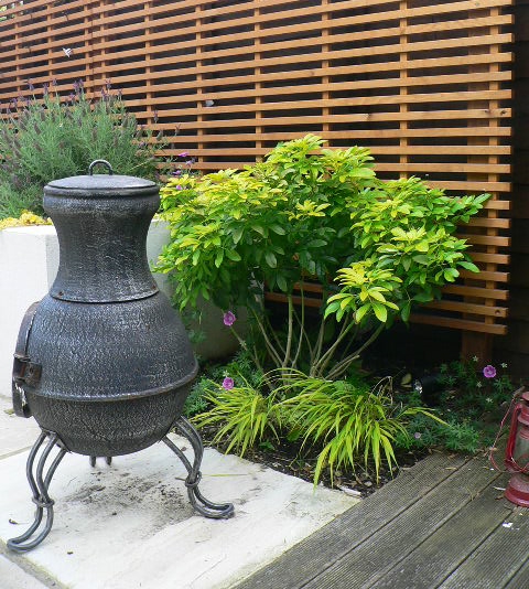 Balham garden