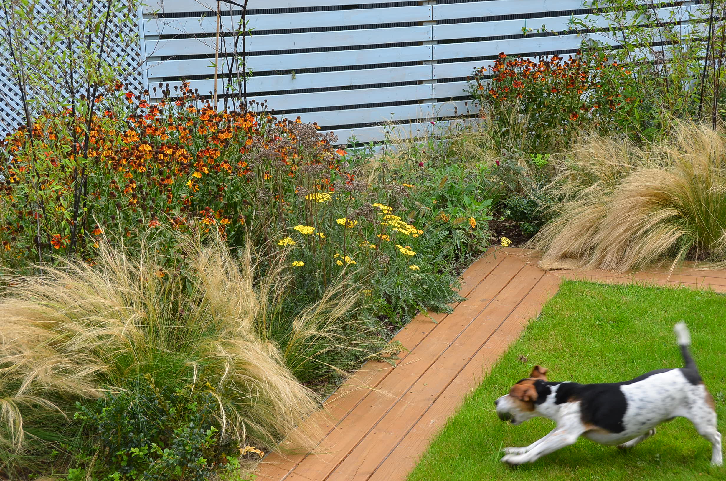 Contemporary garden Iver Heath